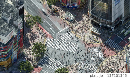 上空から見た都市風景 137101346