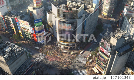 上空から見た交差点 137101348