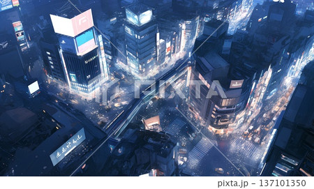 上空から見た都会の街並み 137101350