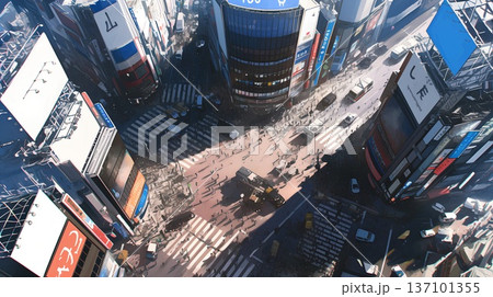 上空から見た街並み 137101355