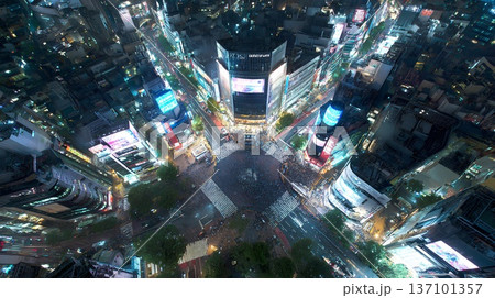 上空から見た都会の夜景 137101357