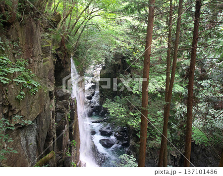 神秘な観音滝 神秘な観音滝 137101486