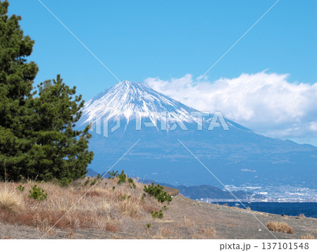 三保松原から見た富士山 三保松原から見た富士山 137101548