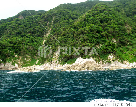 海から見た海岸 137101549