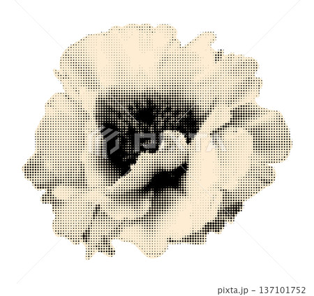 Halftone poppy flower head paper clipping sticker. Peony flower in bloom cut out element for collage. Modern retro grunge mixed media vector illustration isolated on transparent background 137101752