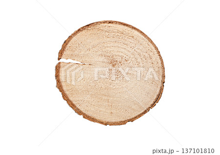 A section of wood with a textured surface. Isolated on a white background 137101810