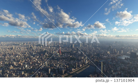 上空から俯瞰で見た街並み 137101904