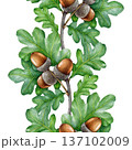 Oak tree branch seamless border decor. Hand drawn oak elegant twigs with green leaves and acorns vintage style watercolor illustration. Forest foliage element natural decoration on white background 137102009
