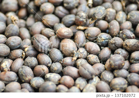 coffee bean or coffee seed or dry the coffee seed coffee bean or coffee seed or dry the coffee seed 137102072