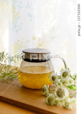 ハーブのある暮らし 137102080