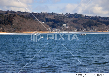 View of Lake Yamanakako in the winter, in yamanashi Japan 137102146