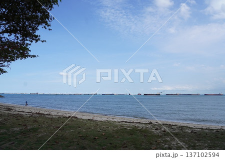 Tranquil Beach Scene with Ships on the Horizon Tranquil Beach Scene with Ships on the Horizon 137102594