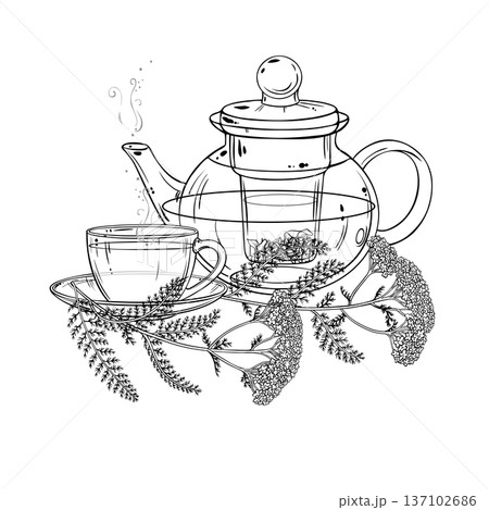 Cup of Yarrow Tea Outline Illustration. Cup of Yarrow Tea Outline Illustration. 137102686