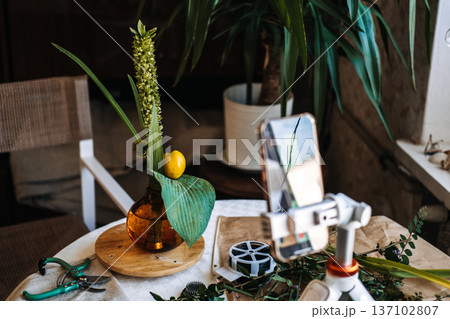 Smartphone on white tripod records video of minimalist floral arrangement with tall stalk and yellow fruit. educational social media, masterclass, botanical education, interactive content 137102807