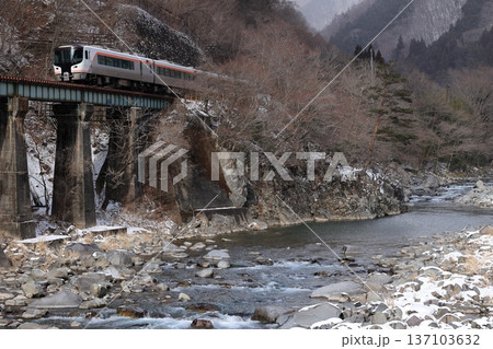 冬の飛騨川沿いを走る特急ひだ 137103632