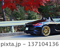 紅葉と黒いオープンカー 137104136