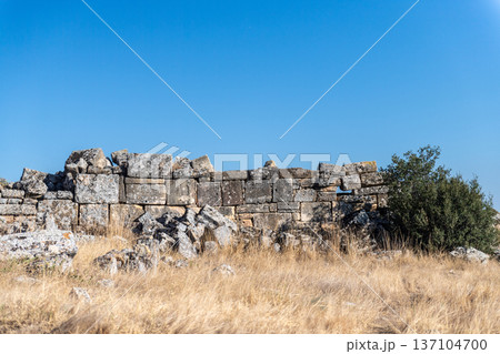 Ancient Ruins of Hierapolis 137104700