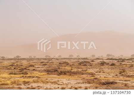 Sandstorm over sossusvlei Sandstorm over sossusvlei 137104730