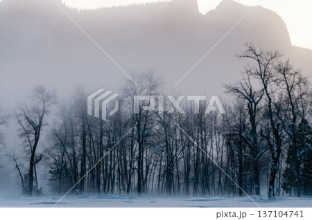 Misty Winter evening in yostemite valley Misty Winter evening in yostemite valley 137104741