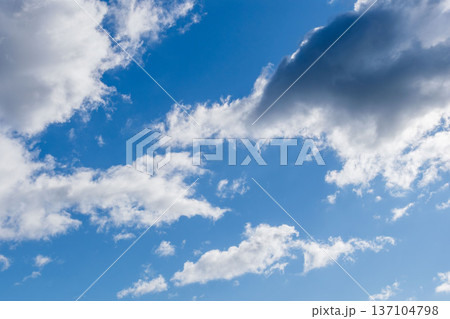 冬の朝の青空と白いふわふわの雲32 冬の朝の青空と白いふわふわの雲32 137104798