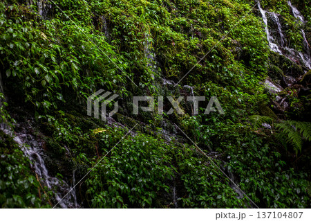 滝 瀧 瀑布 137104807
