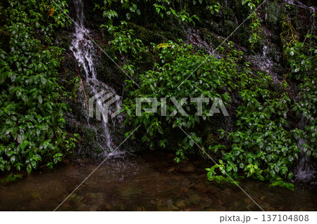 滝 瀧 瀑布 137104808