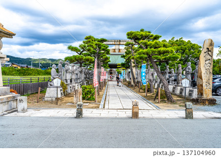 【日本100名城】初秋の赤穂城 赤穂大石神社の参道 兵庫県赤穂市 【日本100名城】初秋の赤穂城 赤穂大石神社の参道 兵庫県赤穂市 137104960