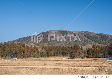 奥琵琶湖の棚田風景　滋賀県長浜市永原 137105012