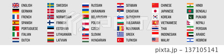 World main languages. Set of 42 language labels with flag and English name. Vector icon and text. Applicable to product labeling, translators, communication templates. 137105141