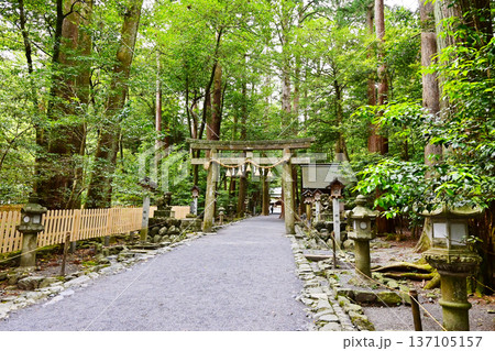 新緑に包まれた椿大神社 日本最古の神社 三重観光スポット 新緑に包まれた椿大神社 日本最古の神社 三重観光スポット 137105157