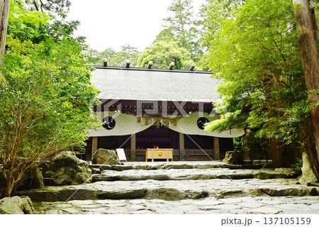 新緑に包まれた椿大神社　日本最古の神社　本殿と新緑の風景　道開きの神　三重観光スポット 137105159