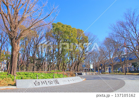 愛知県名古屋市、白川公園の風景 愛知県名古屋市、白川公園の風景 137105162