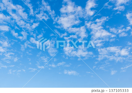 冬の朝の空にうろこ雲14 冬の朝の空にうろこ雲14 137105333