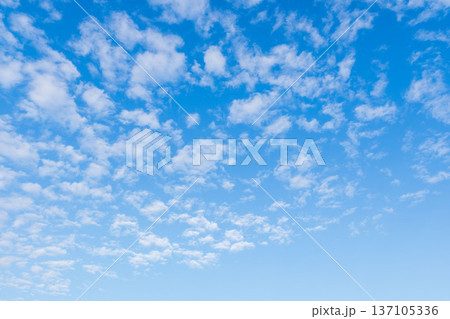 冬の朝の空にうろこ雲16 冬の朝の空にうろこ雲16 137105336