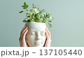 woman's hands are planting a small plant into the top of a white head , in a modern and minimalistic interior design style with light green accents. 137105440