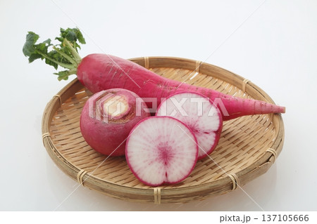 紅大根とかぶ 137105666