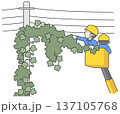 電線に絡まったツタを除去する作業員 137105768