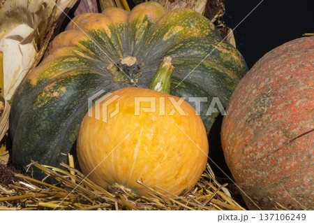 Autumnal decoration made of vegetables and plants. Agriculture on autumn 137106249
