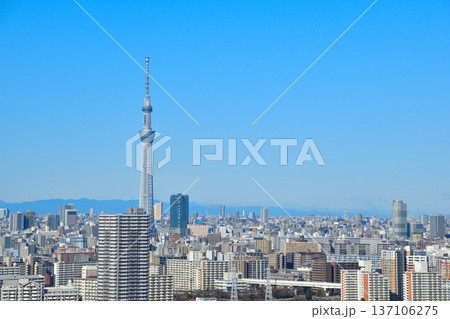 都市風景 東京 東部 東京スカイツリー 都市風景 東京 東部 東京スカイツリー 137106275
