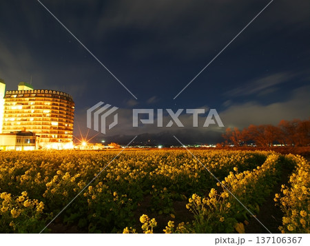 冬の琵琶湖 夕暮れの第1なぎさ公園 琵琶湖アーバンリゾート1番館と早咲きの菜の花畑 冬の琵琶湖 夕暮れの第1なぎさ公園 琵琶湖アーバンリゾート1番館と早咲きの菜の花畑 137106367