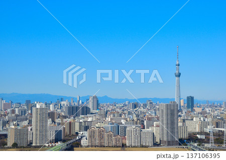 都市風景 東京 東部 東京スカイツリー 都市風景 東京 東部 東京スカイツリー 137106395