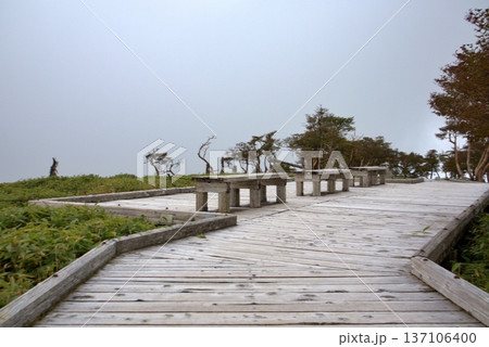 大台ヶ原の展望デッキと霧がかる山の風景 大台ヶ原の展望デッキと霧がかる山の風景 137106400