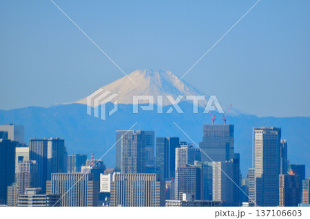 都市風景　東京　富士山　 137106603