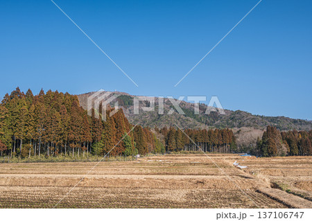 奥琵琶湖の棚田風景　滋賀県長浜市永原 137106747