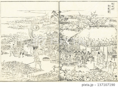 江戸名所図会:杉田村 海鼠製 江戸名所図会:杉田村 海鼠製 137107190