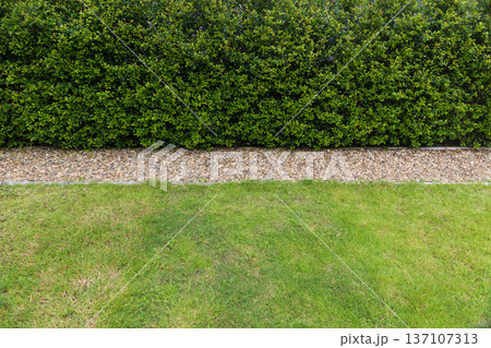 Splash Strips are the narrow band of gravel installed in between lawn and wall of house. 137107313