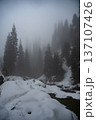 Winter forest landscape with snow covered stream and thick fog 137107426