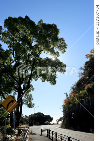 太平洋に突き出た岬のカーブの国道 太平洋に突き出た岬のカーブの国道 137107734