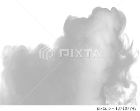 Abstract cloud of fog. Smoke overlay effect. Fog overlay effect. 137107745