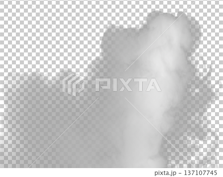 Abstract cloud of fog. Smoke overlay effect. Fog overlay effect. 137107745
